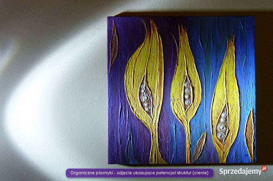 Obraz akryl Organiczne płomyki 33x33 struktury Sieradz