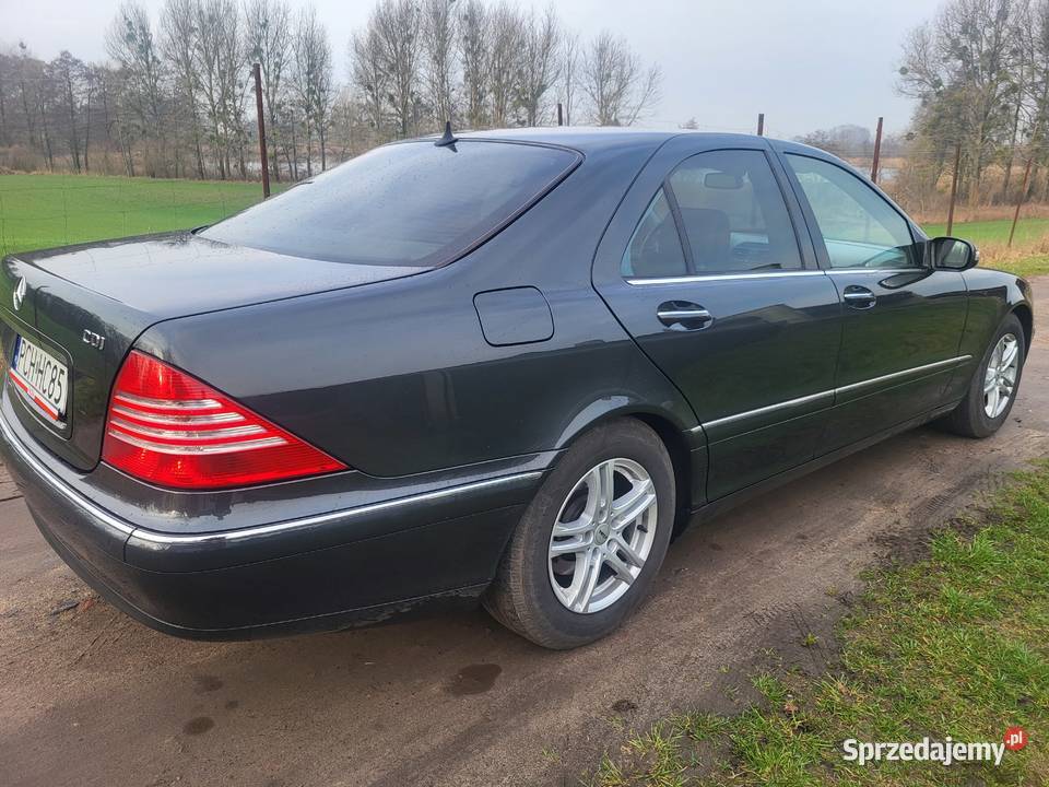 Meecedes s w220 32 cdi igiełka z małym Rogoźno