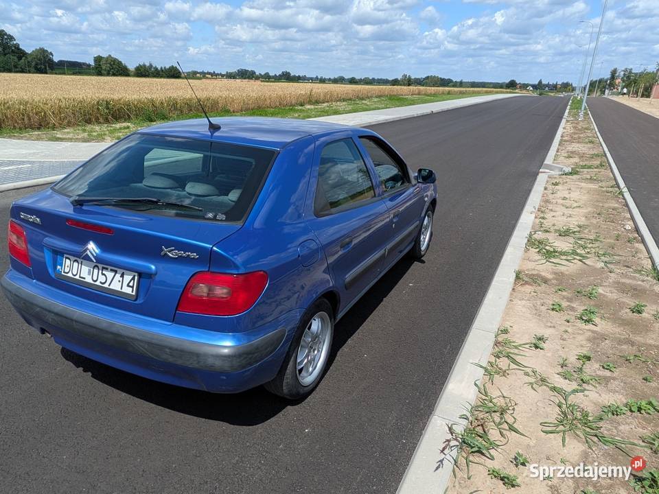 Citroen Xsara Syców