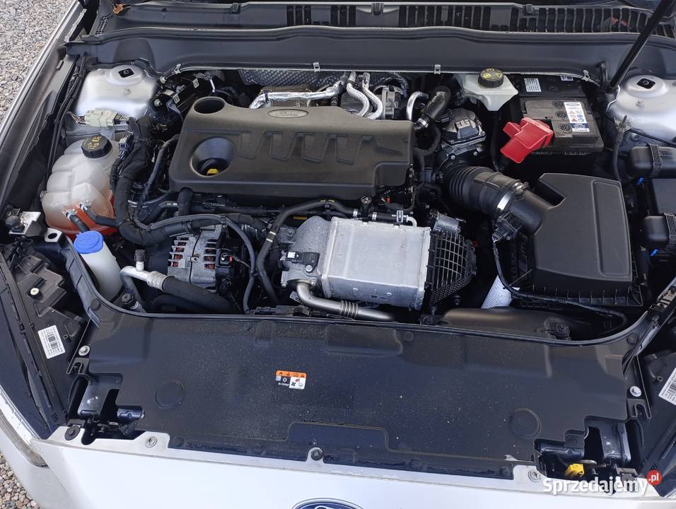 Ford Mondeo 2019 możliwa zamiana na Suv Van VAT marża Paczków