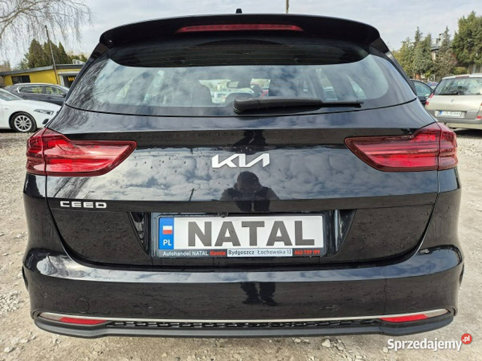 Kia Ceed Lift Duża navi nowy III 2018 czujnik parkowania Kia Bydgoszcz