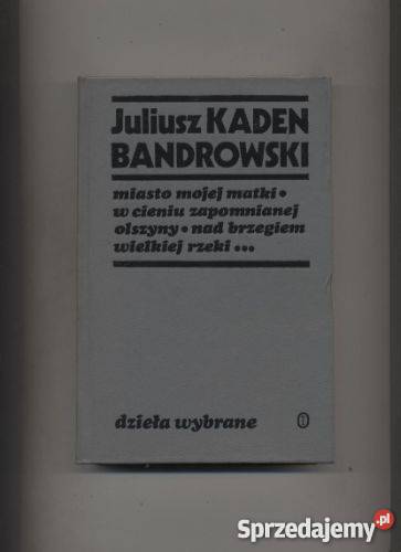 Miasto mojej matki W cieniu zapomnianej olszyny Szczecin