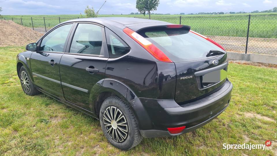 Fors Focus Wiewiórka sprzedam
