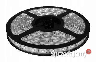 TAŚMA LISTWA LED 3528 IP20 BIAŁA ZIMNA 5m 12V Taśmy LED Kobierno