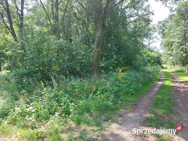Działka do sprzedania Popielarze 900m2 sprzedam