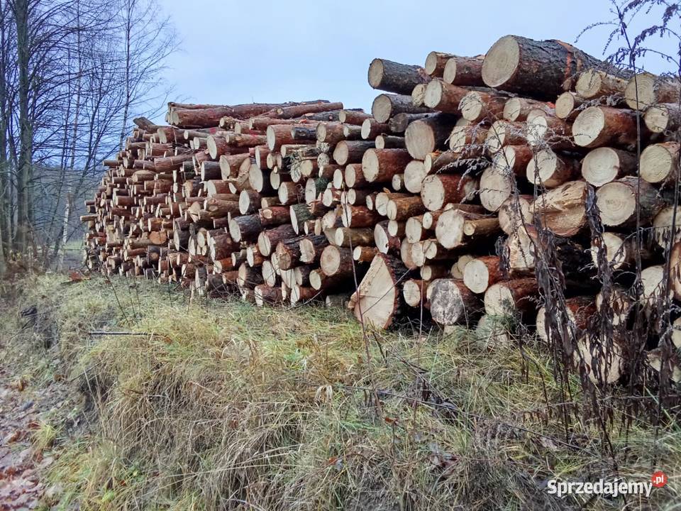 Różne rodzaje drewna opałowegokominkowego Rybno