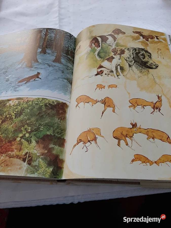 Auf der Jagd na polowaniu Rok wydania 1972 Pozostałe Lądek-Zdrój