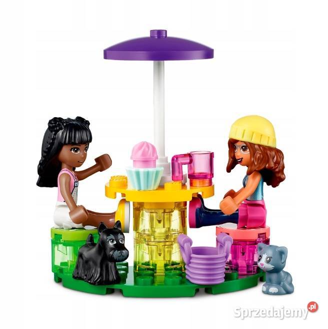 LEGO Friends 41699 Kawiarnia schronisku Poznań