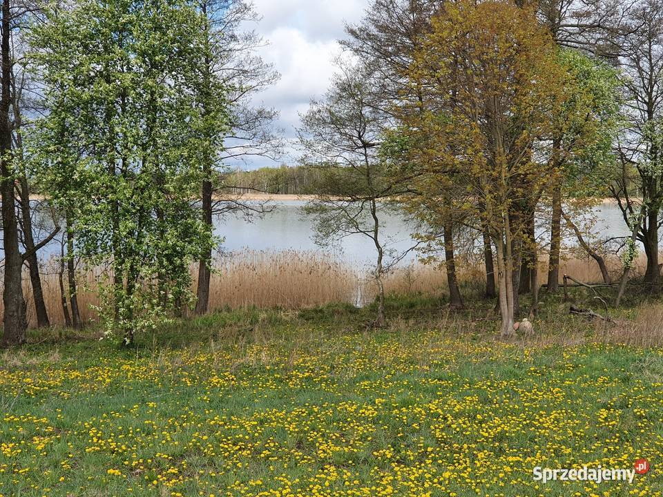 Działka linii brzegowej jeziora warmińsko-mazurskie Skomack Wielki sprzedam
