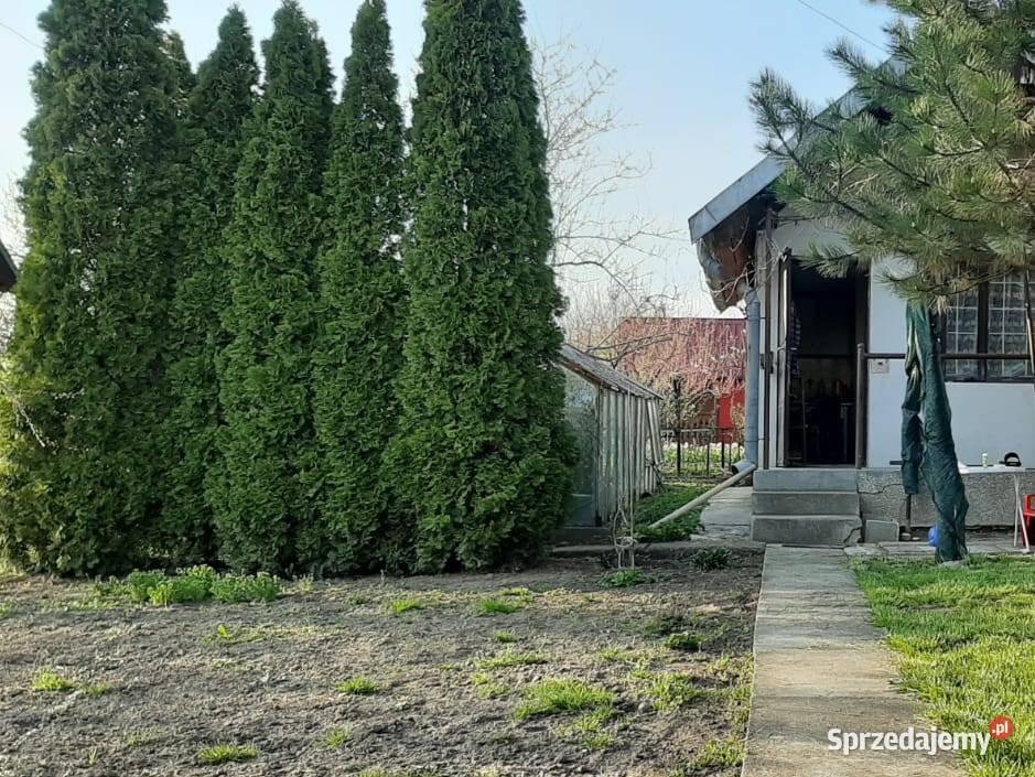 Ogródek działkowy ROD Leliwa małopolskie Tarnów