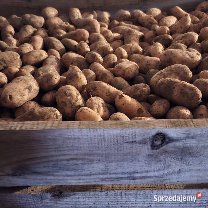 Ziemniaki Krosna-Wieś sprzedam