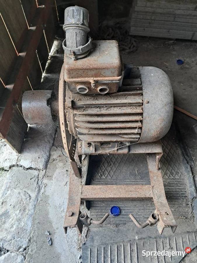 Silnik 55 kw kujawsko-pomorskie Bachorzewo