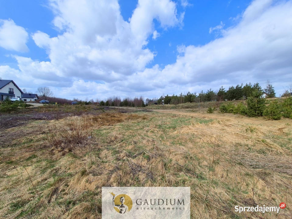 Przystanek NATURA działka pod lasem Kobysewo pomorskie