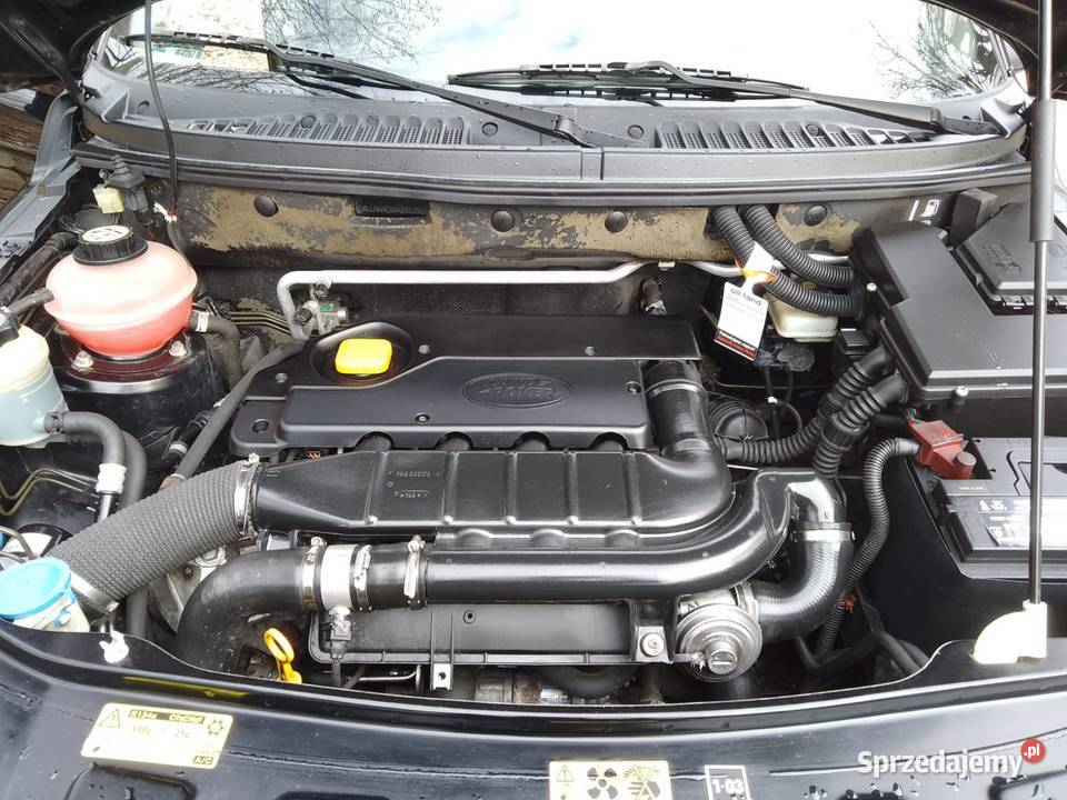 Land Rover Freelander 20 TD4 112 oryginał Europa warmińsko-mazurskie Nowe Miasto Lubawskie sprzedam