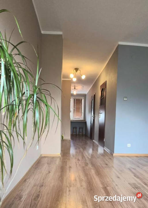 sprzedaży mieszkania Włocławek 40m2 2 pokoje kujawsko-pomorskie