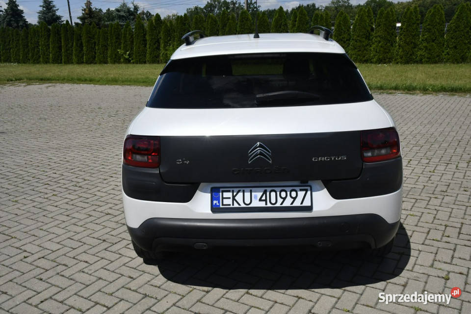 Citroen C4 Cactus 16hdi DUDKI11 bluetooth Kutno