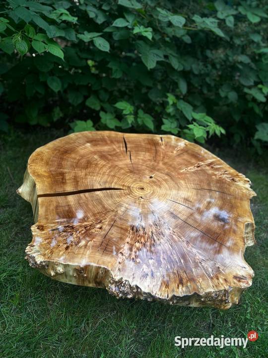 Stolik kawowy z czeczoty topoli 105 unikat Magdalenka