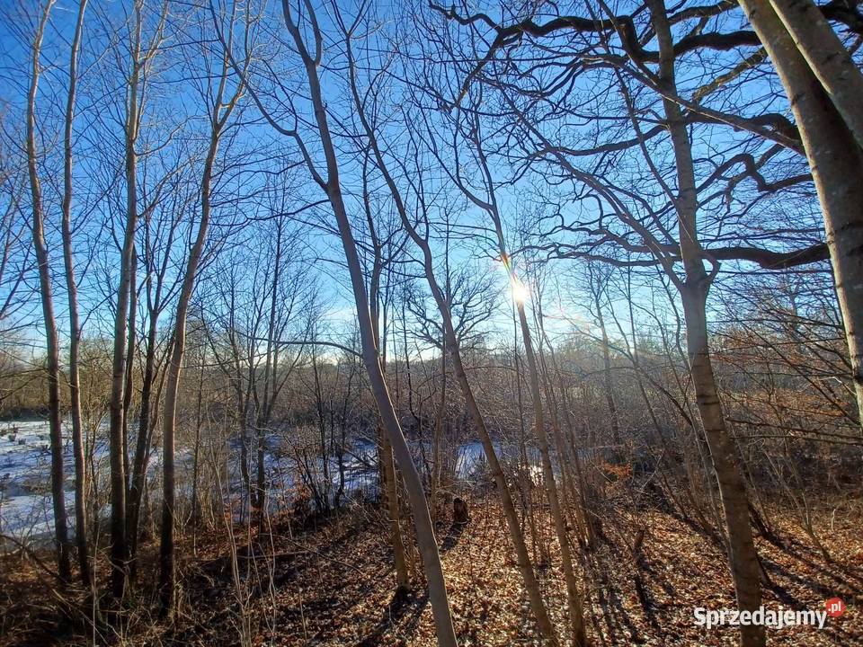Działka z własnym jeziorem Nieruchomości Krągłe sprzedam