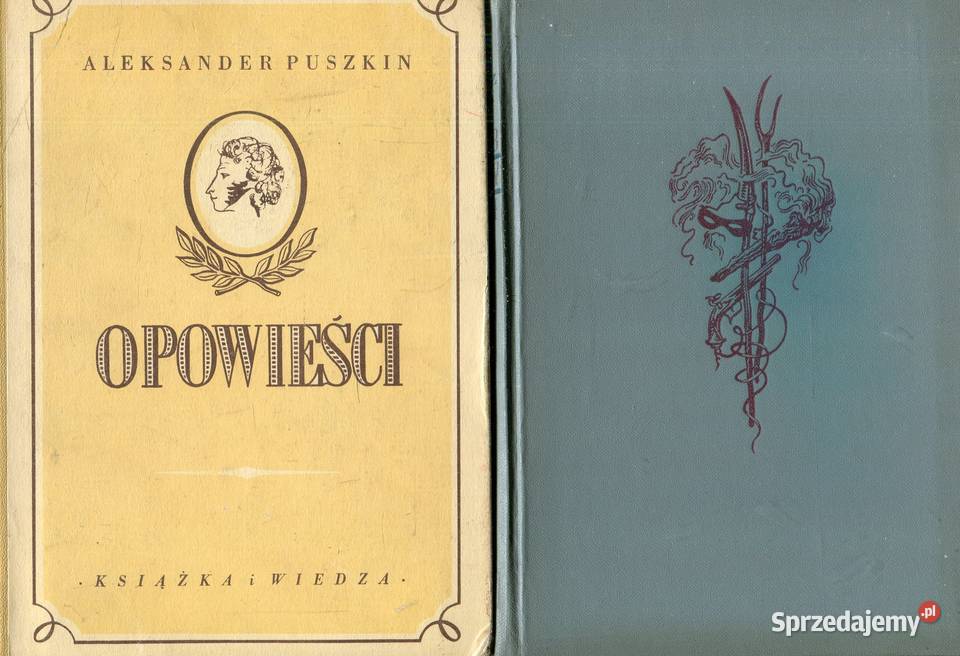 Opowieści Dubrowski Aleksander Puszkin