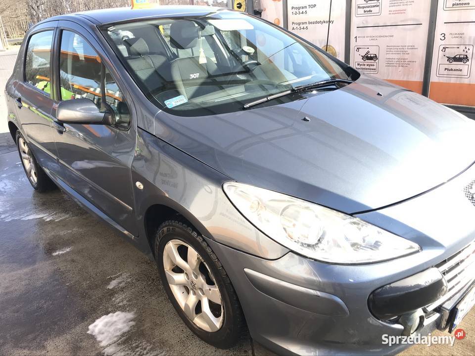 Peugeot 307 Zendek
