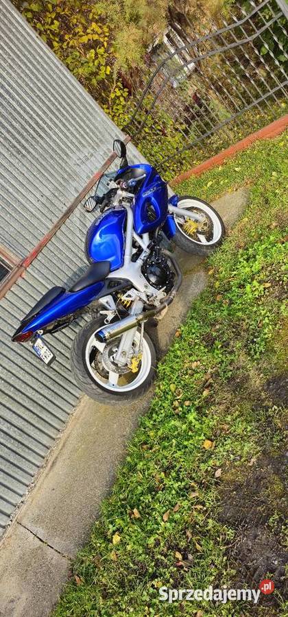 Suzuki SV650 S podkarpackie Łańcut