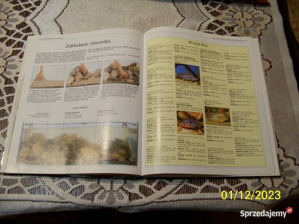 Książka Wszysko o Akwarium hobby, kolekcjonerstwo Żnin