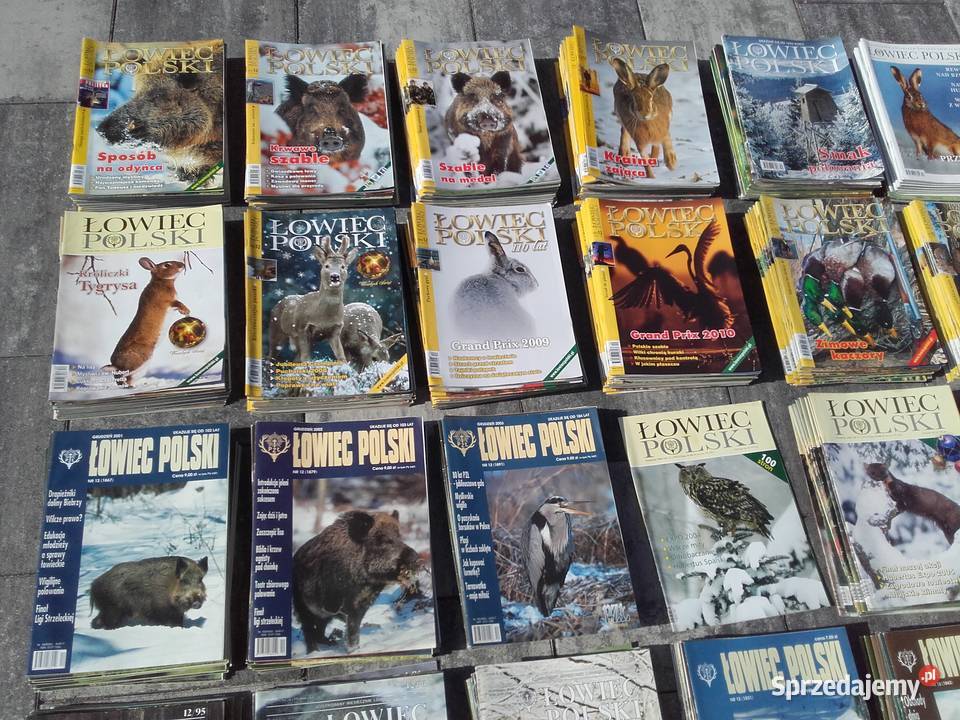 Łowiec Polski kolekcja 393 gazet myślistwo małopolskie Kraków