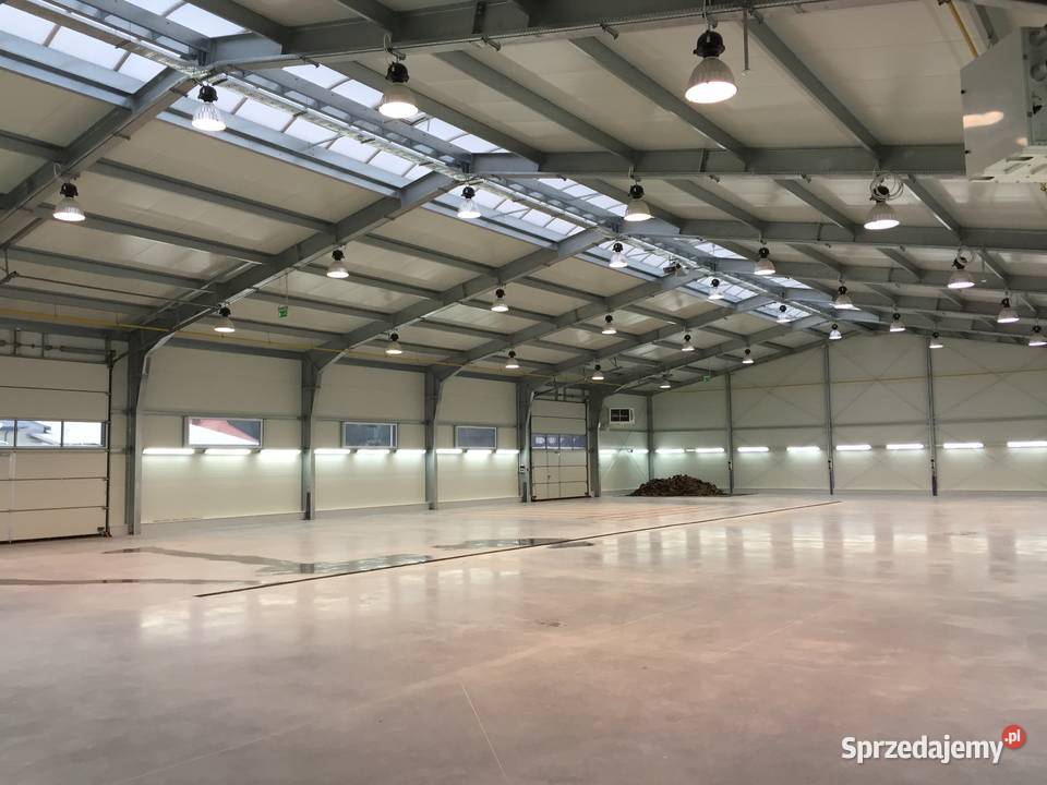 HALA MAGAZYN 1350m2 PLAC 3300m2 HALA MAGAZYNOWO Miszewko