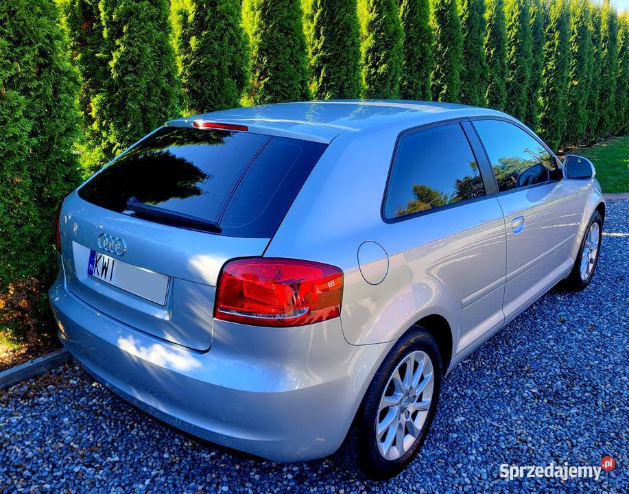 Audi A3 Lift CLIMATRONIC Xenon Alu Podgrzewane małopolskie Kraków