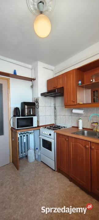 2 pokoje 4743 m Centrum Wrocławia 400 m Rynku Wrocław