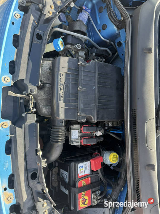 Ford KA Ford Ka Fiat 500 141 Klimatyzacja Ładny Szerominek sprzedam