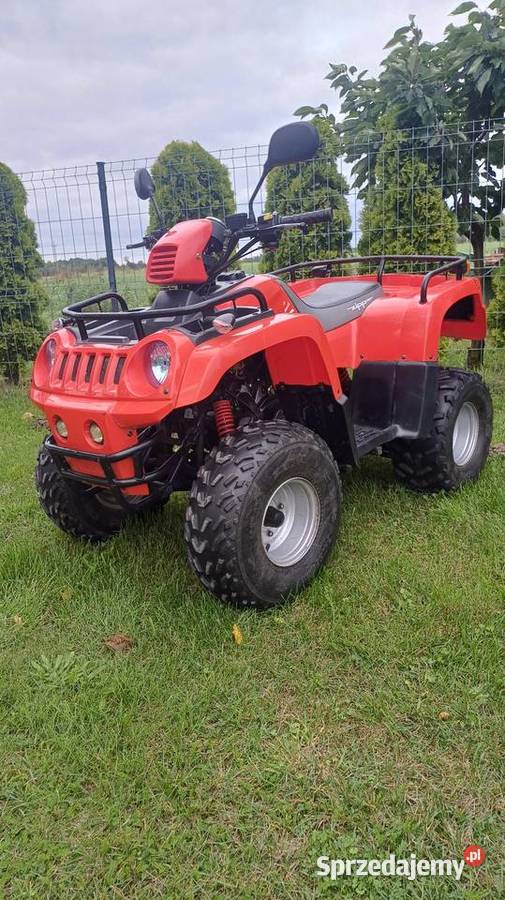 Zipp cross 50 2t zarejestrowany quad - ATV Koło