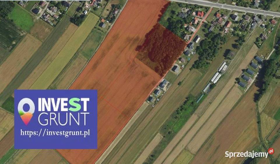 2175 ha przetarg na dzierżawę gruntów rolnych Stanica