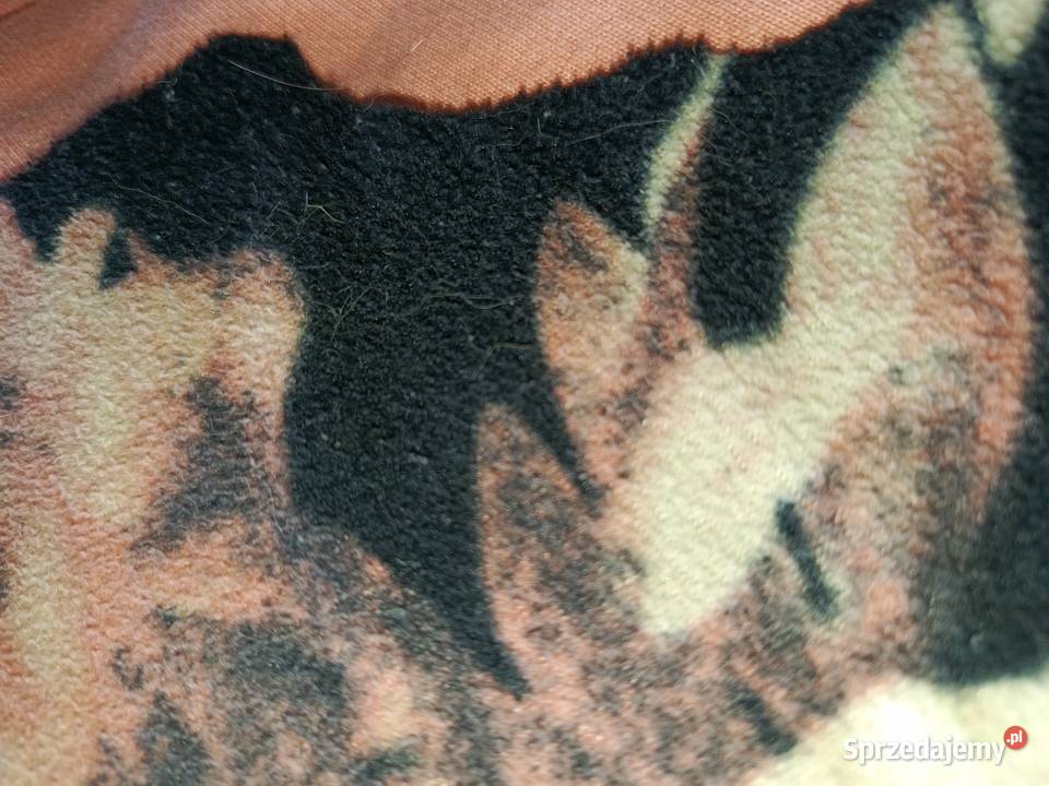 Assc crewneck pink streetwear losos czarny Odzież codzienna pomorskie Gdańsk