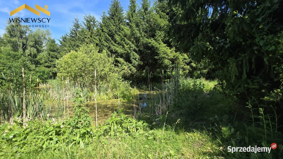 Drewniany dom linii brzegowej 60 m2 Markusy