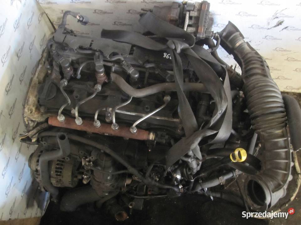 TRANSIT 22 TDCI EU5 DRFB DRFA RWD 100 168 silnik Kielce