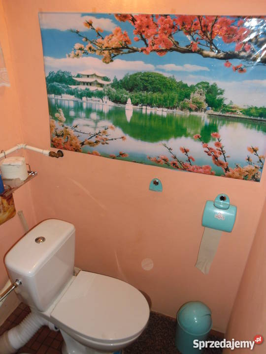 Działaka rekreacyjna Lipniki 376m2