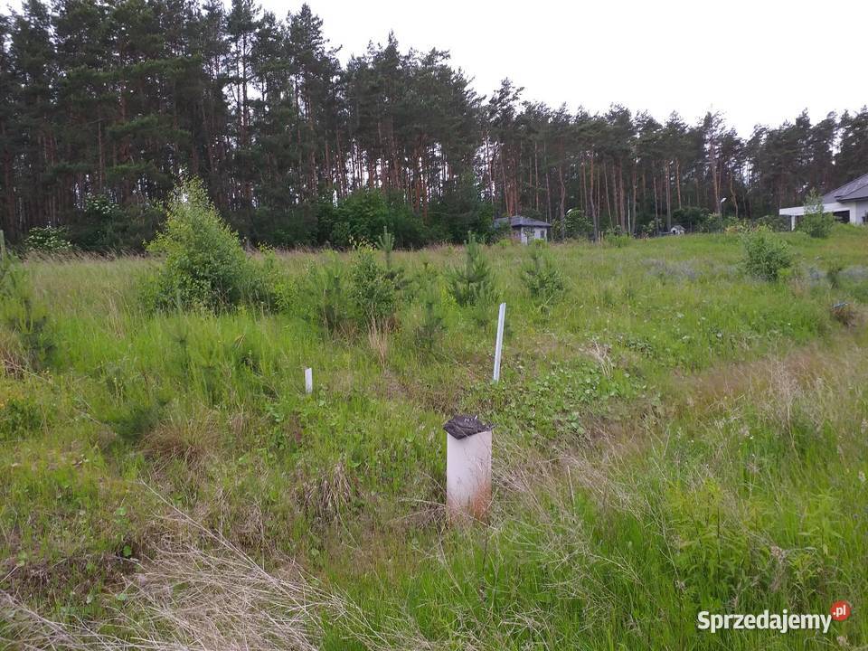 DZIAŁKA BUDOWLANA Z LASEM 1500M2 PIŁA DOLASZEWO Piła