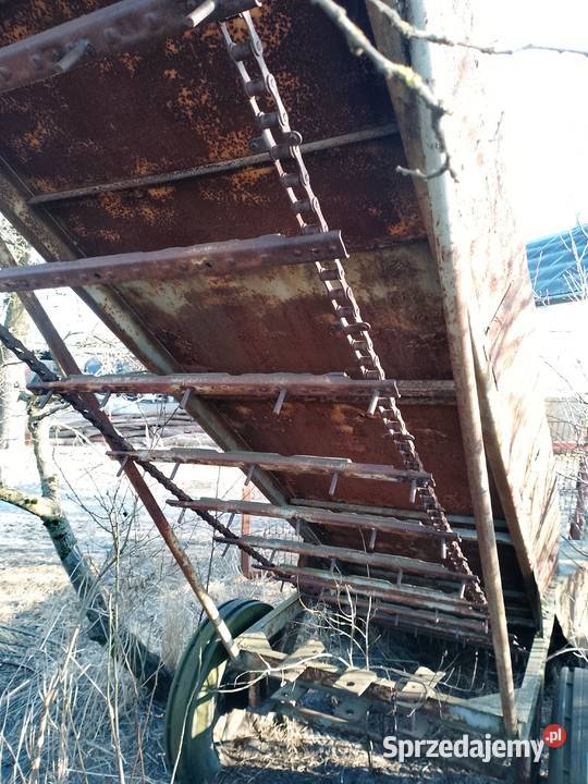 Podbierak do liści buraczanychłęcin trawy łódzkie Lututów