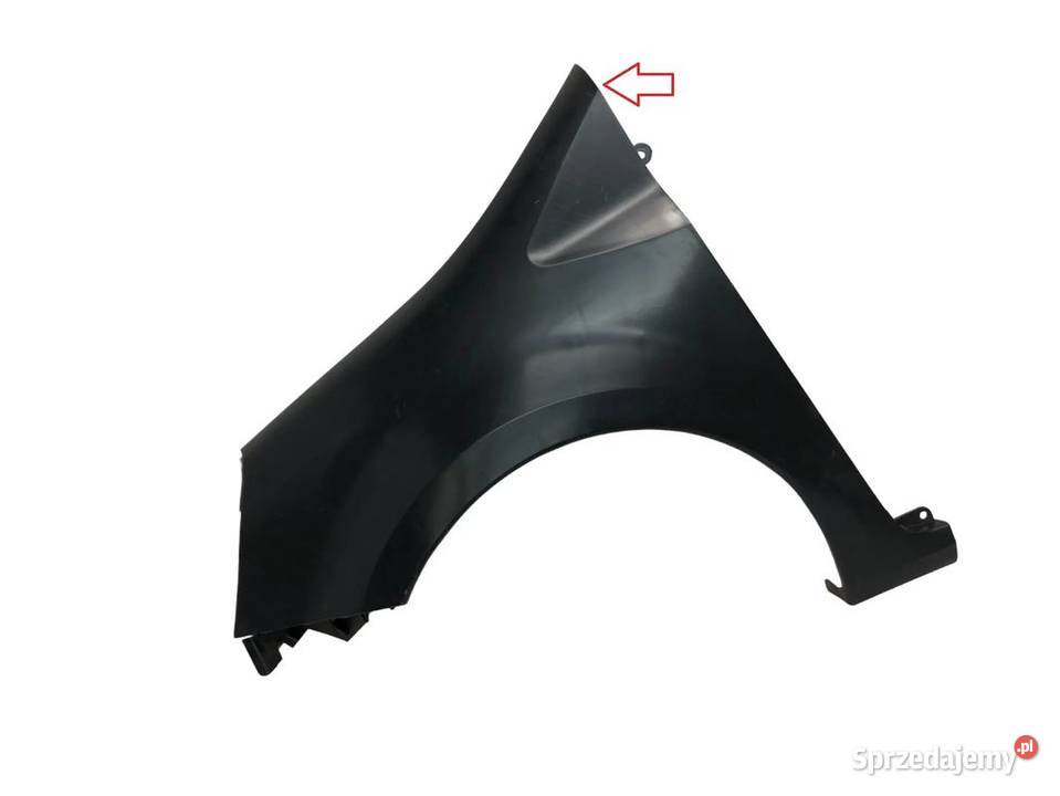 RENAULT MODUS 20042011 BŁOTNIK PRZÓD PRZEDNI Skarżysko-Kamienna