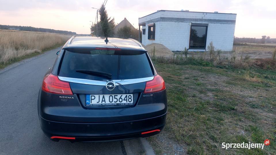 Opel insignia wielkopolskie Jarocin