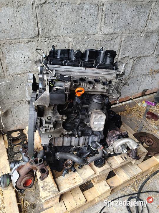 sprzedam silnik 16 tdi uszkodzony VW Rok produkcji 2013 Silniki kompletne Zadąbrowie