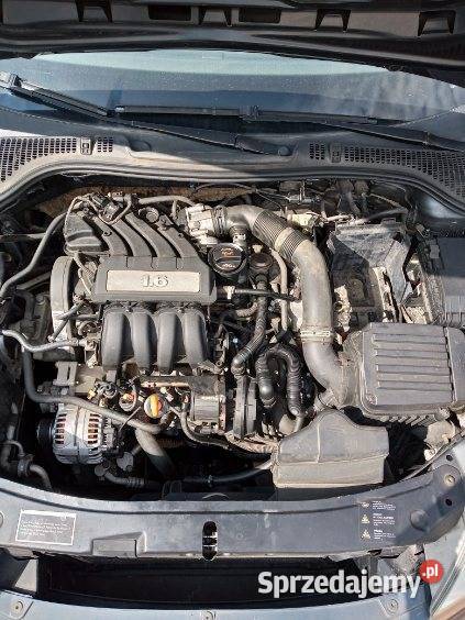Sprzedam silnik skoda octavia 2 16 MPI benzyna Pozostałe Kuriany