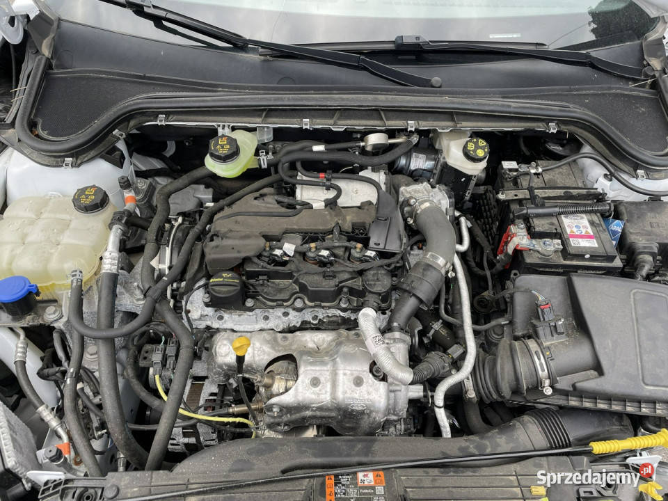 Ford Focus Ford Focus 15115 Automat Bogate