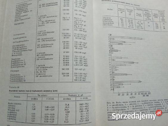 Normy i kliniczna interpretacja badań medycyna, nauki medyczne Książki naukowe i popularnonaukowe Łódź sprzedam