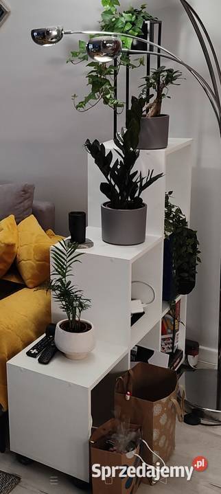 Stolik kawowy 100x100 Kalisz