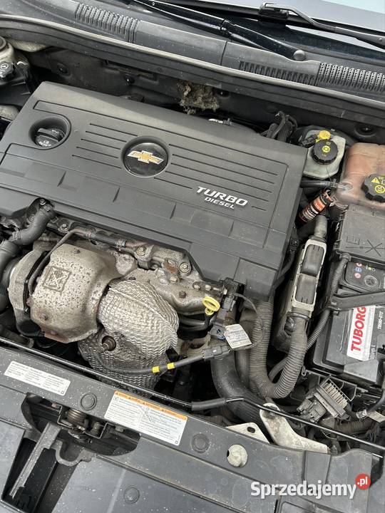 Chevrolet cruze 20D doinwestowany zachodniopomorskie Płoty