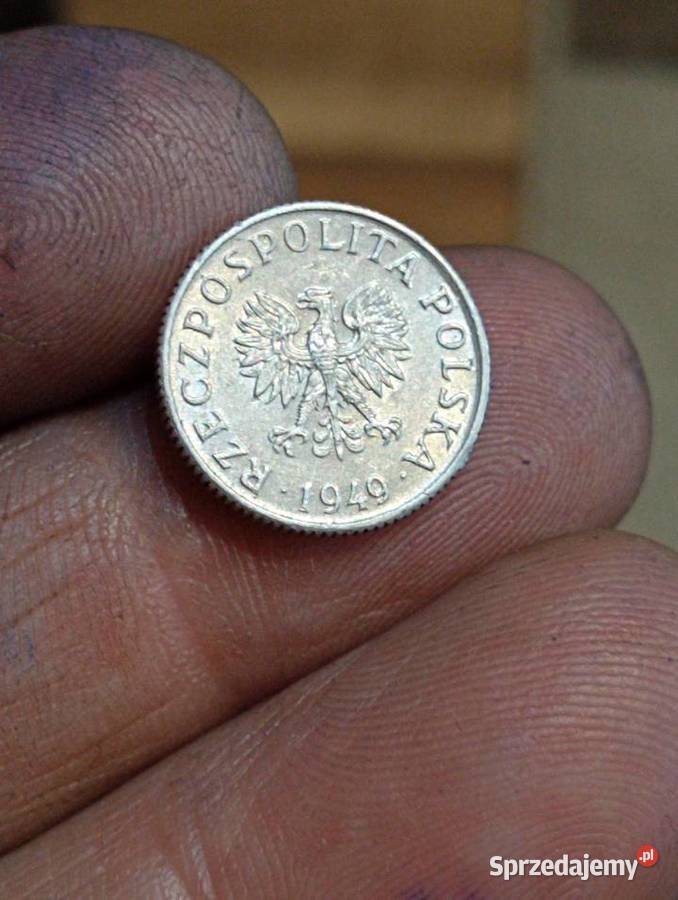 Sprzedam monete 1 grosz 1949 r bez znaku mennicy Chełm sprzedam