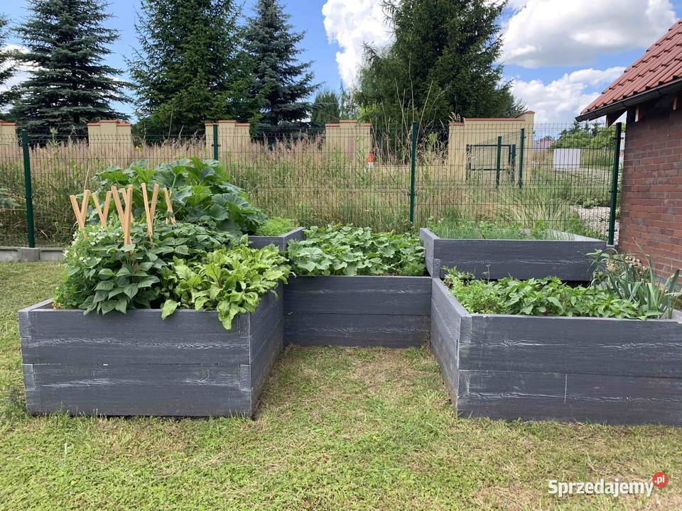 Skrzynie na warzywa do ogrodu podwyższone Rzeszów