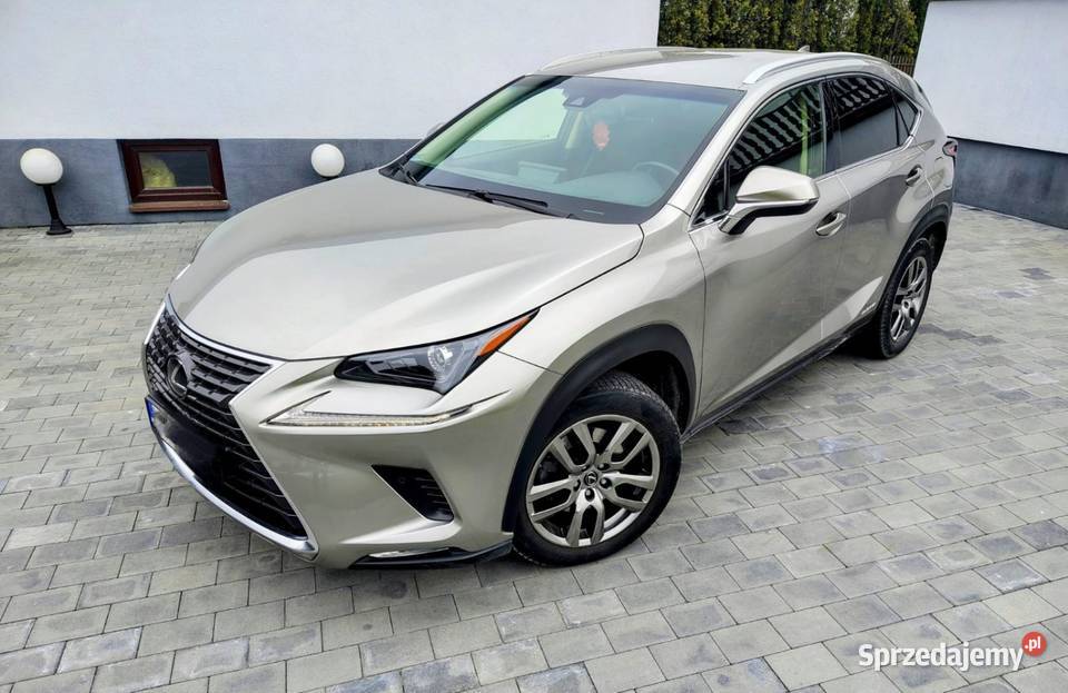 Lexus NX300h super stan mały przebieg 197KM Wolbrom